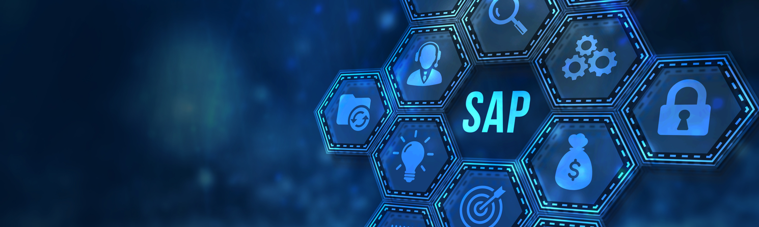SAP HCM i SuccessFactors