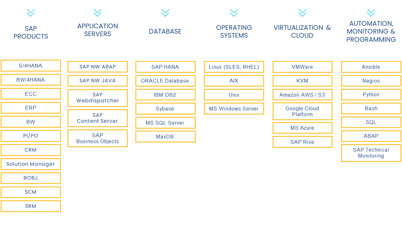 Upgrade i migracja SAP doświadczenie