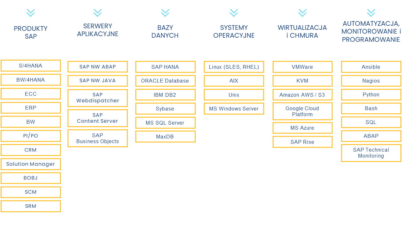 Upgrade i migracja SAP doświadczenie